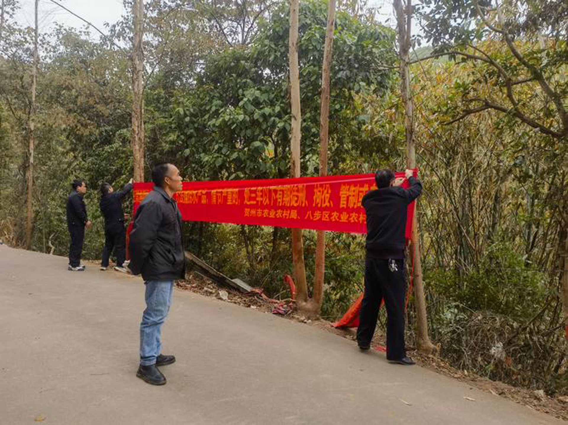 晓静养殖合作社